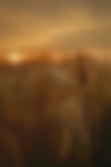 Portrait-ambiance-1