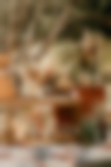 Portrait-ambiance-10