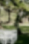 Portrait-ambiance-11