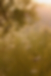 Portrait-ambiance-4