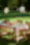 Portrait-ambiance-8
