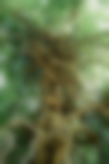 Portrait-exterieur-4