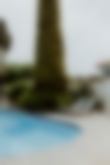 VIERNY_MAS_DE_LA_MER-008